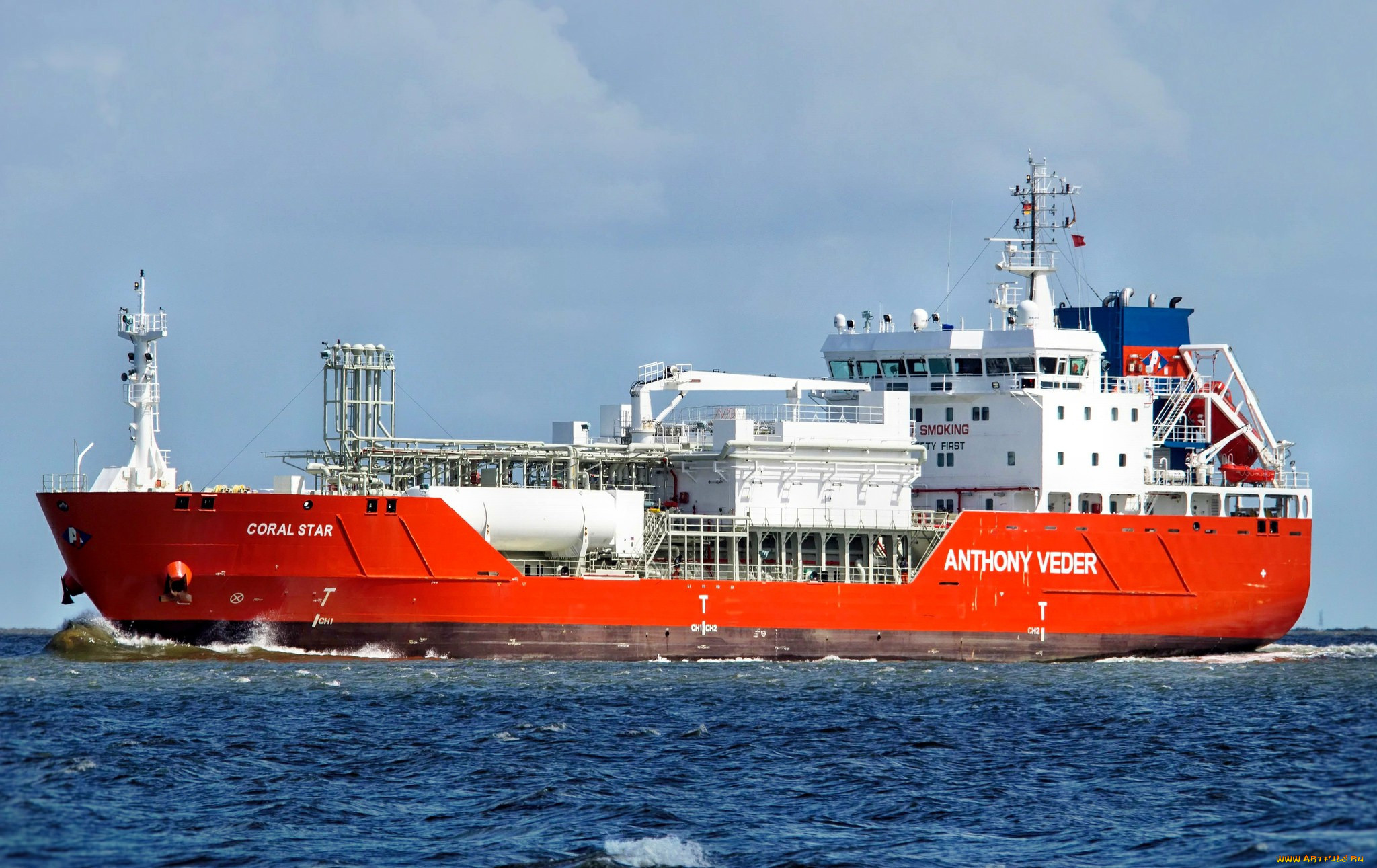 coral star, , , 